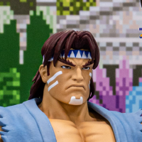 T·霍克 -  终极街霸2