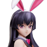 B-style  CODE GEASS 夺还的罗塞 春柳宫樱 兔女郎