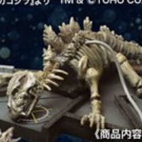 在房总半岛近海回收的哥斯拉骨骼