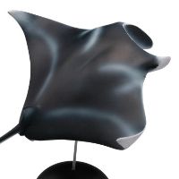 水上精灵 #2-002 鳐鱼（蝠鲼）