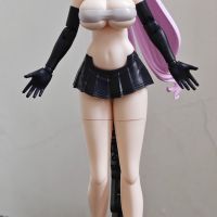 圣骑士·异色混搭