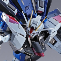 METAL BUILD  自由高达 概念2