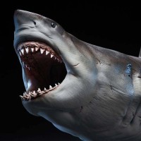 1/18比例大白鲨PVC手办