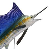 水上精灵#1-005 旗鱼