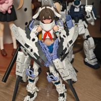 第一次玩机娘，直接狠狠挂载