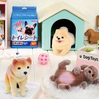 小小样品 狗狗作伴