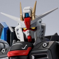 ROBOT魂 ＜机动战士系列＞ ZGMF-X10A 自由高达 GCP版 三周年纪念配色