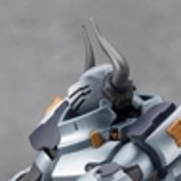 六角机牙 Brauregen