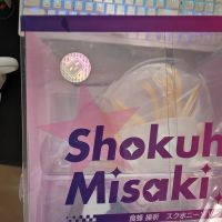 食蜂操祈泳装返图