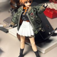 那时我还是个飞行夹克痴