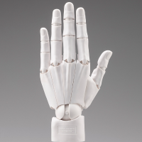艺术参考工具 手部模型 男/左手 -白色-