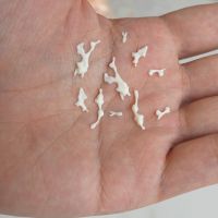 我玩过最虾头的手办