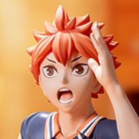 HPM 排球少年 日向翔阳