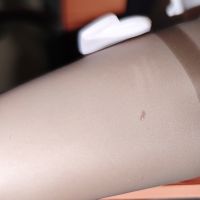 大佬们看看还有办法补救吗？