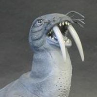 大怪兽系列 奥特Q编 四次元怪兽 托托拉 黑白色版