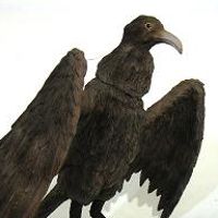 大怪兽系列 奥特Q编 古代怪鸟 拉尔杰乌斯  彩色版