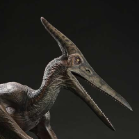 侏罗纪公园III 翼龙