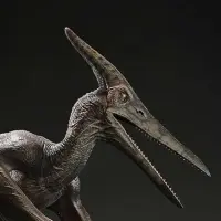 侏罗纪公园III 翼龙