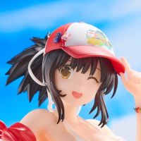 忍者大师 闪乱神乐 NEW LINK  飞鸟 泳装