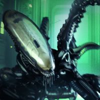 52TOYS 猛兽匣 IB13 异形