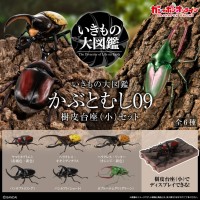 生物大图鉴 独角仙09