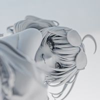 圣路易斯 赛车女郎