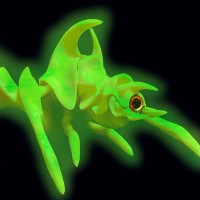 加美拉2 雷吉翁士兵 蓄光型软胶套件