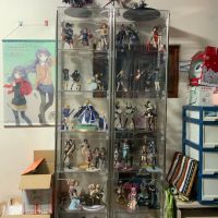 穷学生玩手办的一年整