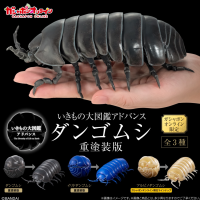 生物大图鉴 进阶版 西瓜虫（重涂装版） 线上扭蛋版