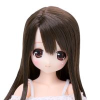 POD019-ACR Sarah's a la Mode 艾丽莎/甜蜜时光穿搭套装~深棕色头发~(AZONE网上商店限定)