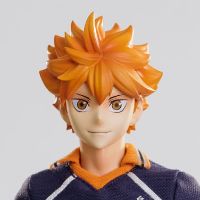 排球少年  日向翔阳