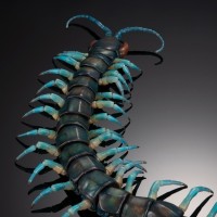 终极生物大图鉴系列 琉神大蜈蚣