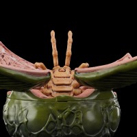 闪电奇舞 异形  异形卵