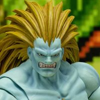 终极街霸2：最后的挑战者 布兰卡 限定版