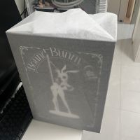 金石-被绑住大兔子