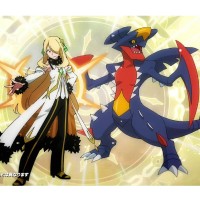 PANEL SPECTACLE 宝可梦大师EX ～阿尔套装竹兰&超级烈咬陆鲨～