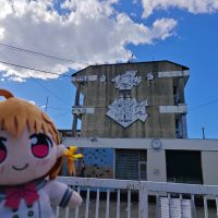 带棉花娃娃出门的一年