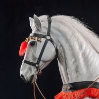 86版西游记 白龙马