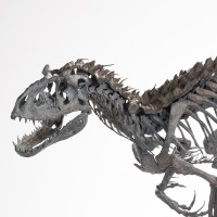 暴虐霸王龙骨架 青铜模型 1/12比例