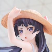 我的妹妹不可能那么可爱 黑猫（五更琉璃）白猫