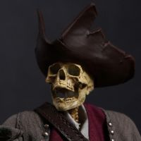 ES018 掌上精灵系列 骷髅海盗铁钩船长