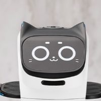 Pudu 大号贝拉机器人