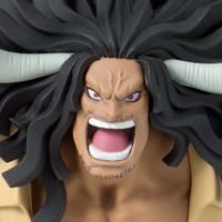 BATTLE RECORD COLLECTION EXTRA 航海王 凯多