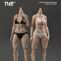 肌肉腿版关节可动女素体