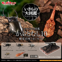 生物大图鉴　甲虫10　树皮台座（小）套装