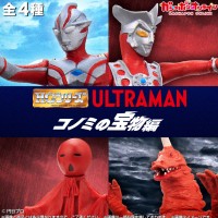 HG 奥特曼 木之美的宝物编