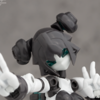 基因干涉系列 素体套02