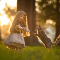 最近的一些娃片