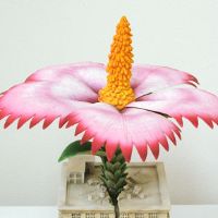 大怪兽系列 奥特Q编 巨大植物 究兰（彩色版）