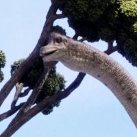 腕龙（Brachiosaurus）